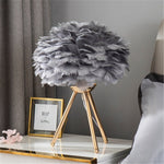 LED Night light Feather Table Lamp